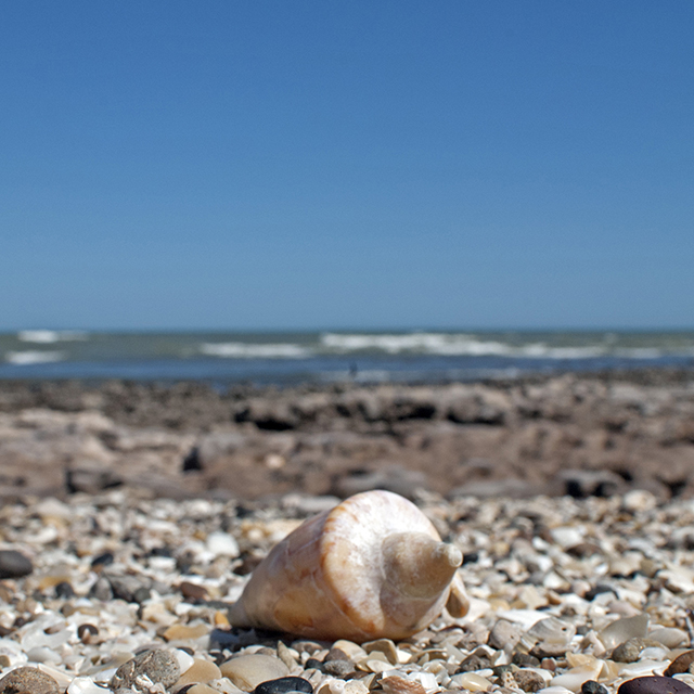 Imagen de nota: Vacaciones en playas agrestes