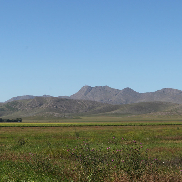 Imagen de nota: De la llanura a la sierra