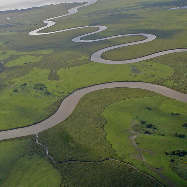 Imagen de nota: Naturalmente el Delta