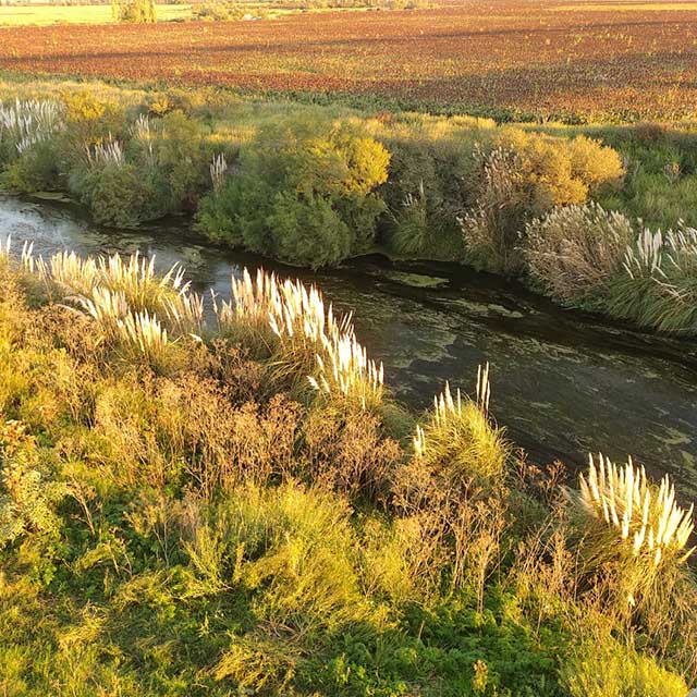 Imagen de nota: CHACABUCO AL NATURAL