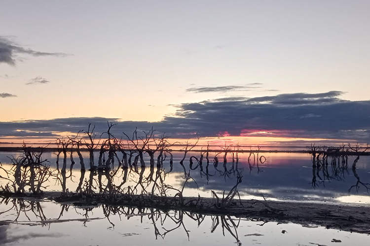 Nieve de sal en Laguna