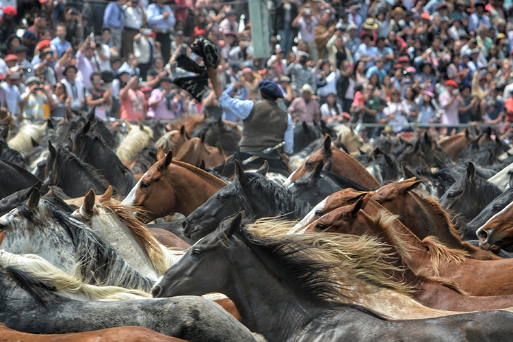 31º Fiesta del Talar