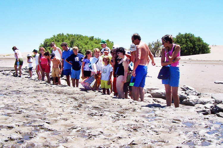 Sitios Arqueológicos - Historia
