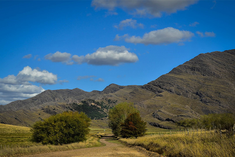 Ruta escénica
