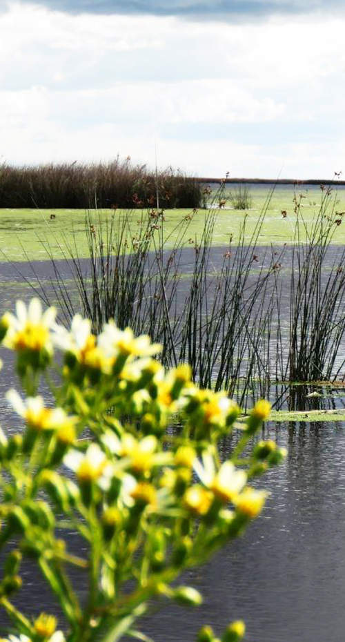 PAGOS RURALES A PURA TRADICIÓN