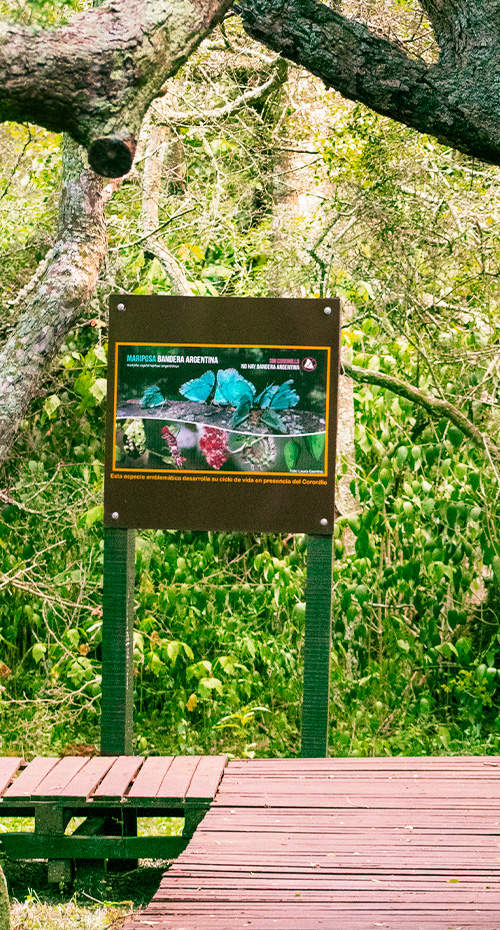 EDIFICIOS CENTENARIOS Y UNA RESERVA ÚNICA EN EL PLANETA
