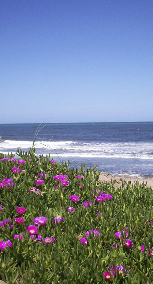 PLAYAS AGRESTES Y TERMAS REVITALIZANTES