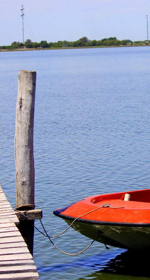 DE LA FIESTA DEL PURÉ A MANUELITA