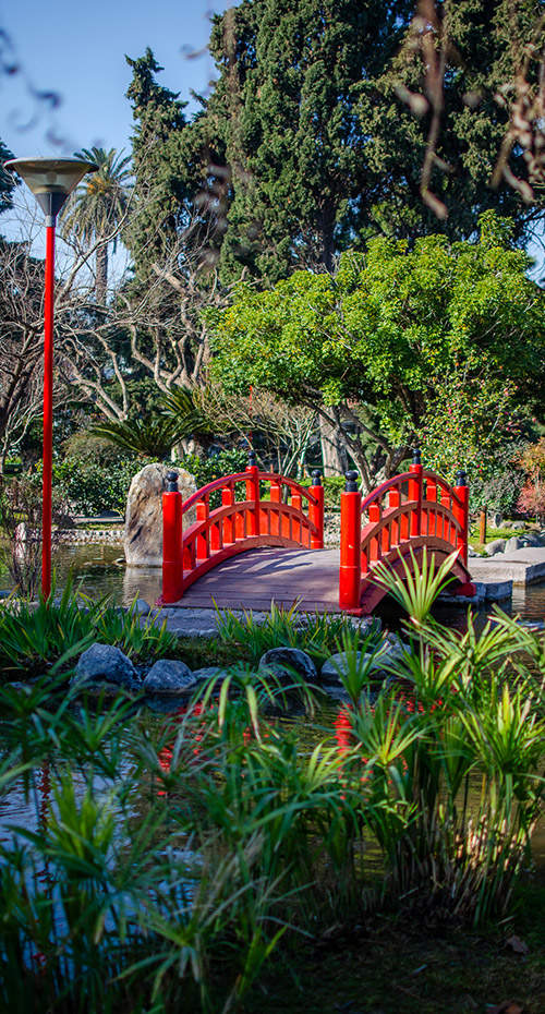 EL LUGAR DONDE NACIERON LAS FLORES