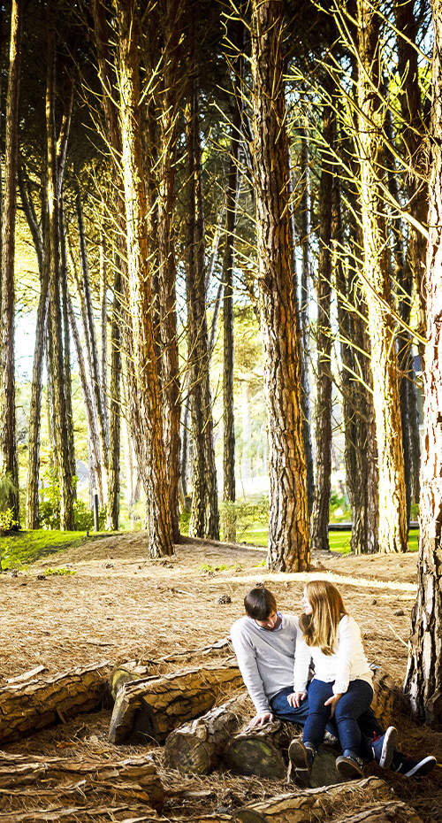 MAR, VIÑEDOS Y TRADICIONES GAUCHAS