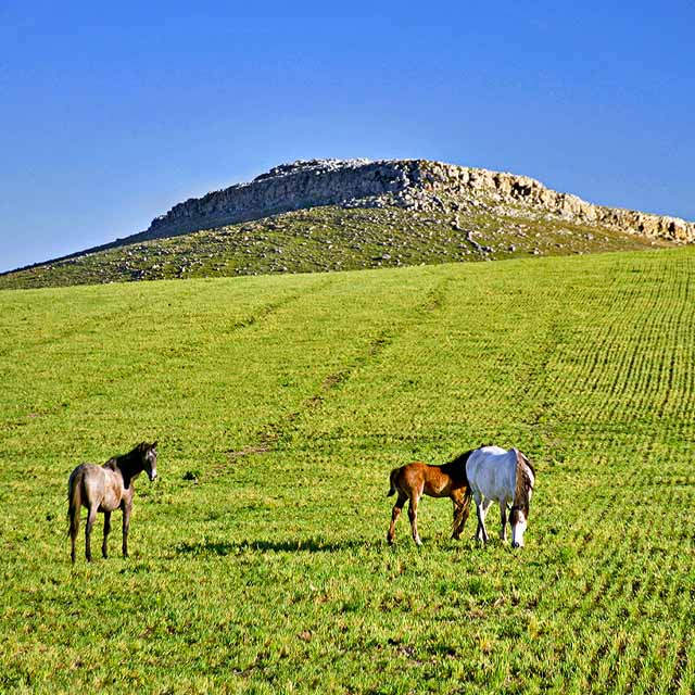 PASEOS Y SABORES EN LA SIERRA BONAERENSE