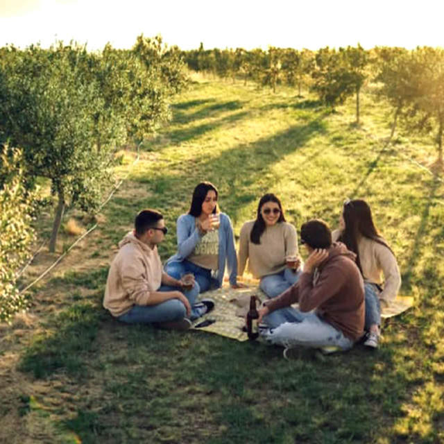 UNA RUTA ENTRE KIWIS, OLIVOS Y CIELOS ABIERTOS