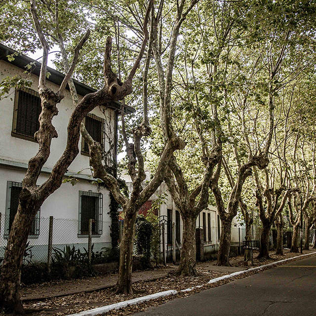 Dos circuitos históricos en Quilmes
