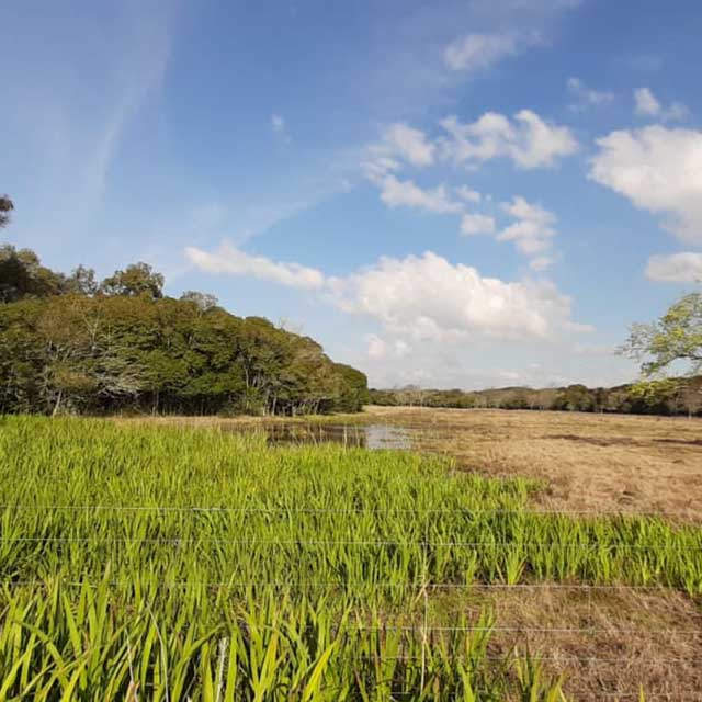 RUTA NATURAL: PUNTA INDIO Y MAGDALENA