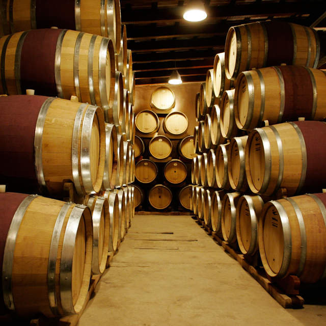 La nobleza de nuestros vinos