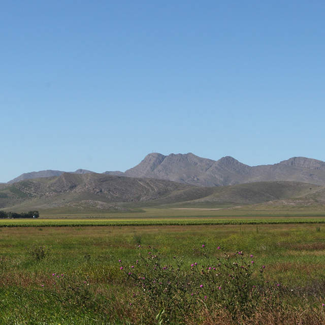 De la llanura a la sierra