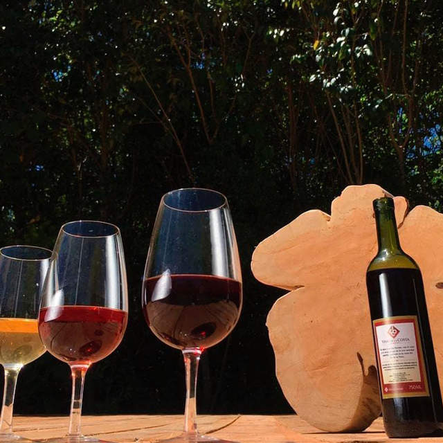 Berisso tierra inmigrante