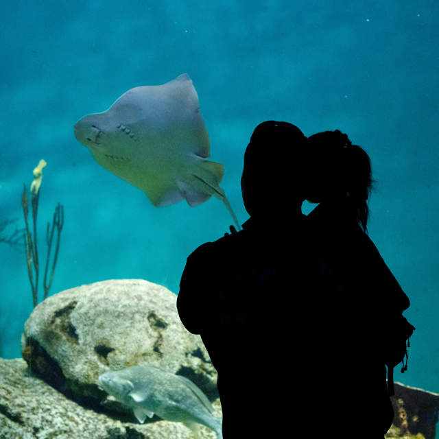 Compras, paseos y naturaleza en Escobar