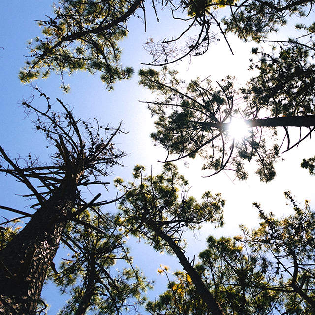 Lugares energéticos