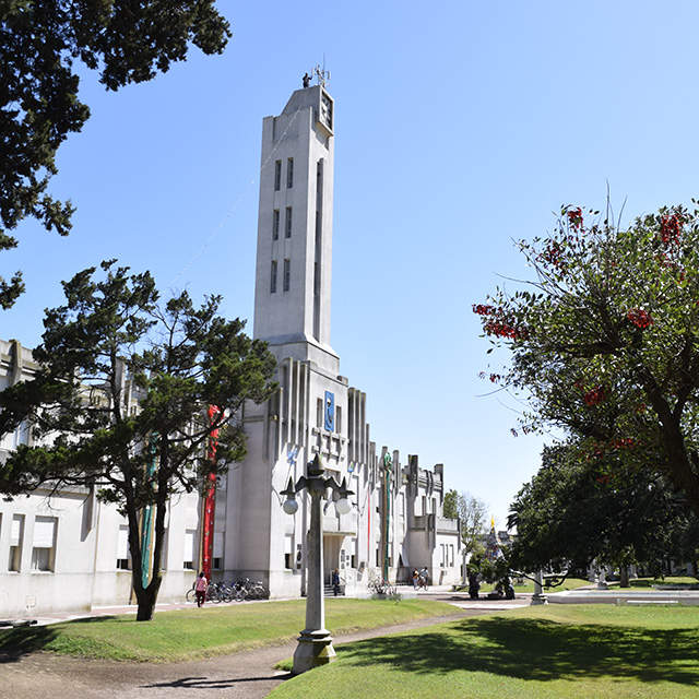 LAS OBRAS MONUMENTALES DE SALAMONE