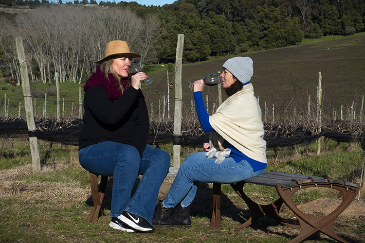 Bodega y Viñedos Cordón Blanco